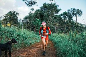 BIB: 
                            <button type="button" onclick="openModal(25651941)" class="btn btn-primary btn-sm float-right btn-popup" data-toggle="modal" data-target=".modal-high-quality">
                        <i class="fas fa-shopping-cart"></i> Add to Cart
                    </button>
                                            <button type="button" onclick="isThisMe(25651941, true)" class="btn btn-success btn-sm float-right btn-popup btn-isme hidden" data-toggle="tooltip" data-placement="bottom" title="นี่คือรูปของคุณใช่ไหม คลิกที่นี่เพื่อเอาเข้าอัลบั้ม">
                        <i class="fas fa-plus"></i> Add to album
                    </button>
                    <button type="button" onclick="isThisMe(25651941, false)" class="btn btn-warning btn-sm float-right btn-popup btn-isnotme hidden">
                        <i class="fas fa-ban"></i> Remove from album
                    </button>